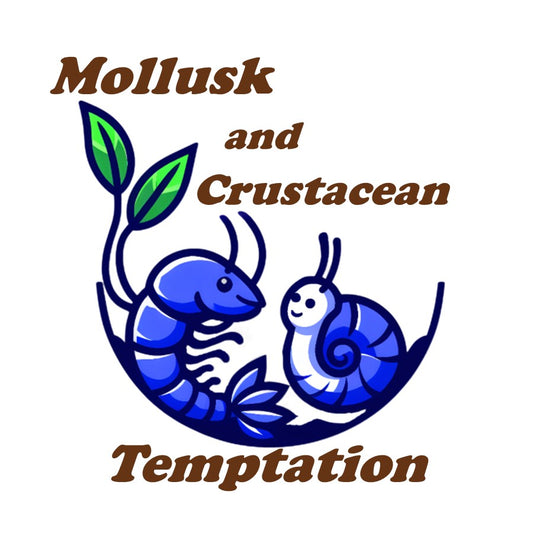 Mollusk and Crustacean Temptation - Dehydrated "Snello" Food for Invertebrates